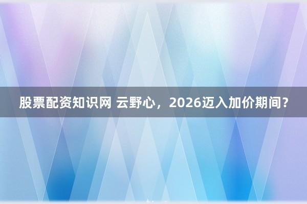 股票配资知识网 云野心，2026迈入加价期间？