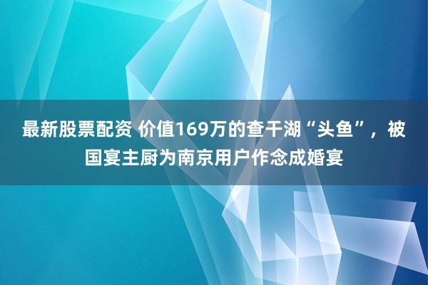 最新股票配资 价值169万的查干湖“头鱼”，被国宴主厨为南京用户作念成婚宴