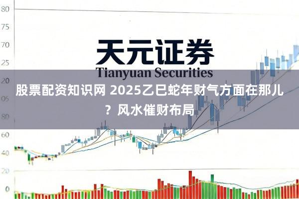 股票配资知识网 2025乙巳蛇年财气方面在那儿？风水催财布局